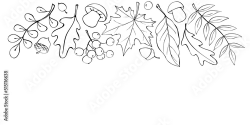 Autumn background with space and border of leaves  mushrooms  acorns  berries on upper edge. For invitation  ending  frame  children s print  or coloring. The theme is forest  happy fall  thanksgiving