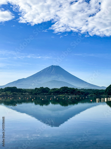 山梨県富士五湖のうちの一つの精進湖と富士山