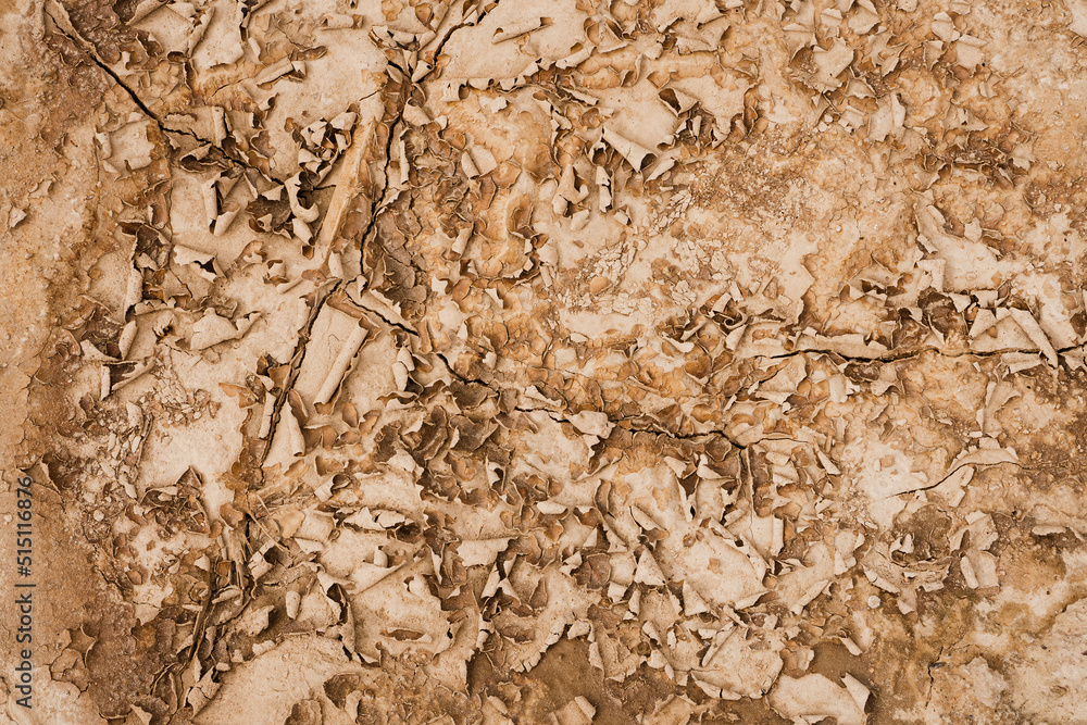 Close up of crack soil and desert in dry season textures, hot summer. Texture of sunny dried earth Close up of crack soil and desert in dry season textures, hot summer. Texture of sunny dried earth