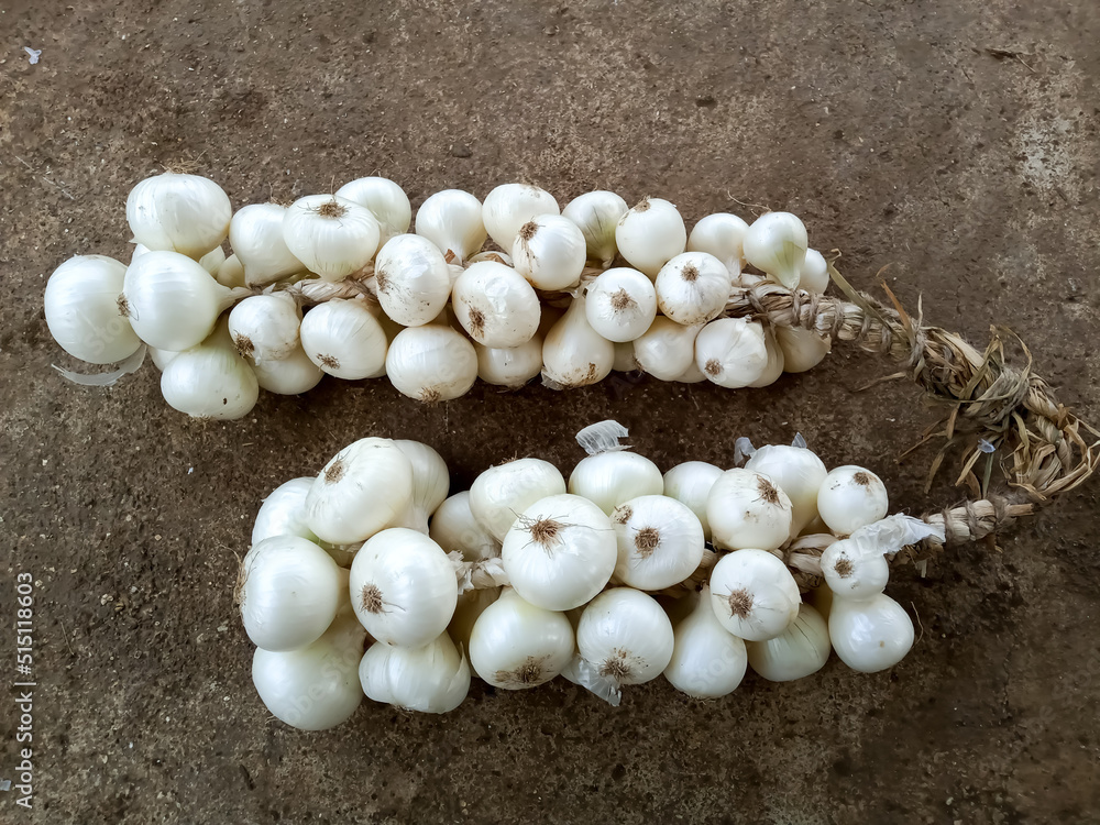 Indian white onions string, vegetables food healthy good for health Indian white onions string, vegetables food healthy good for health