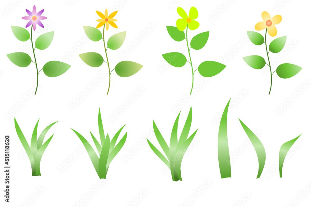 grass and flower, summer flower grass and flower, summer flower