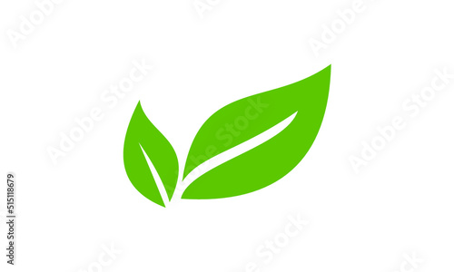 green leaf icon