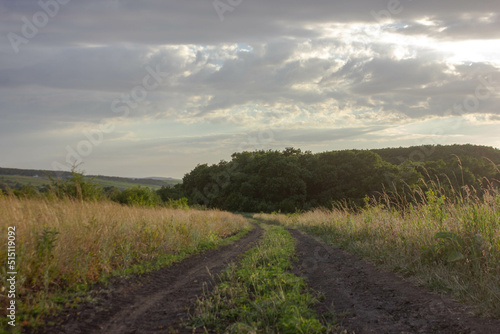 road in the field