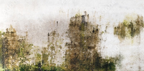 Fotografiet Closeup cement wall with moss