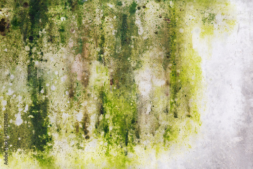 Canvas Print Closeup cement wall with moss