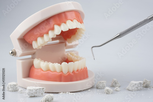 Photos Teeth model with dental plaque tool ,Concept Dental care cleaning bacterial plaq