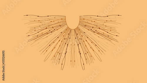 depiction of ancient knot writing
