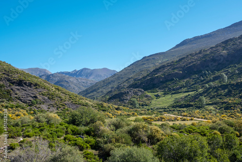 Valle del arroyo de Mazobre en el parque natural de la montaña Palentina, España photo