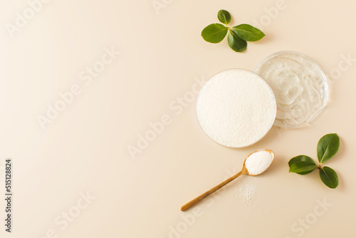 Samples of collagen powder and hyaluronic acid in Petri dishes. Copy space 