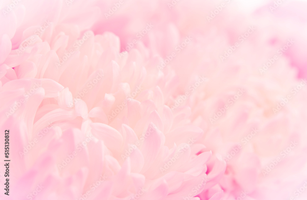 image of macro flower background