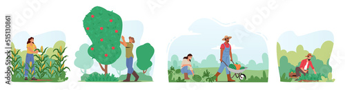 Set Characters Harvesting in Garden or Orchard, Gardeners Collecting Fruits and Vegetables Crop, Eco Farm Production