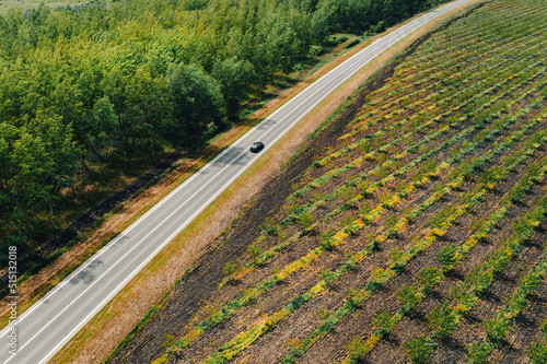 Aerial shot of single black car on road through wooded landscape in sunny spring day, travel and car insurance concept