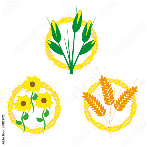 Gold ripe wheat ears as frame with corn, sunflower and ear inside. Agriculture icons.