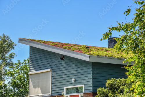 Den Helder, Netherlands. June 2022. Environmentally friendly roofs in a residential area in Den Helder.