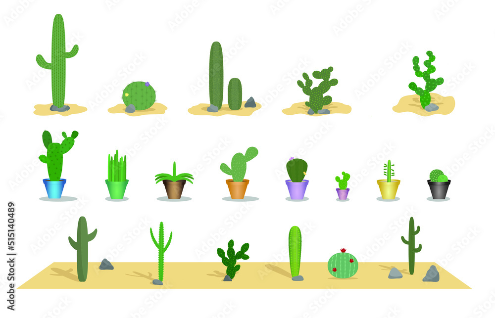 Vector set of cacti of all sizes and types.