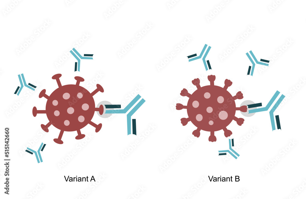 The spike protein (S) was bound with specific antibodies (Neutralizing antibodies) to variant A and B of pathogen molecule: COVID-19 or SARS-CoV-2, other viruses The spike protein (S) was bound with specific antibodies (Neutralizing antibodies) to variant A and B of pathogen molecule: COVID-19 or SARS-CoV-2, other viruses