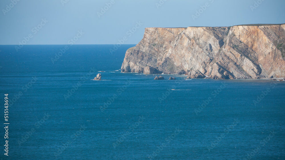 Acantialdo rocoso en mar cantábrico de Asturias