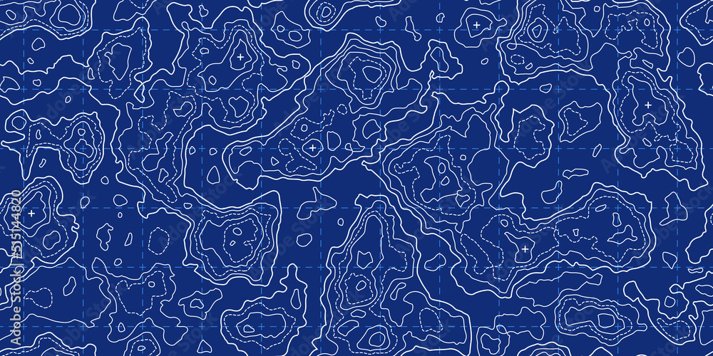 Topography map seamless pattern with grid and mountains. Blue white ...