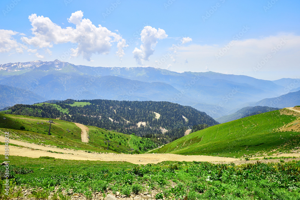Mountain bright landscape with snow-capped mountains, blue sky and clouds. Mountainside covered with green grass and fir trees.
