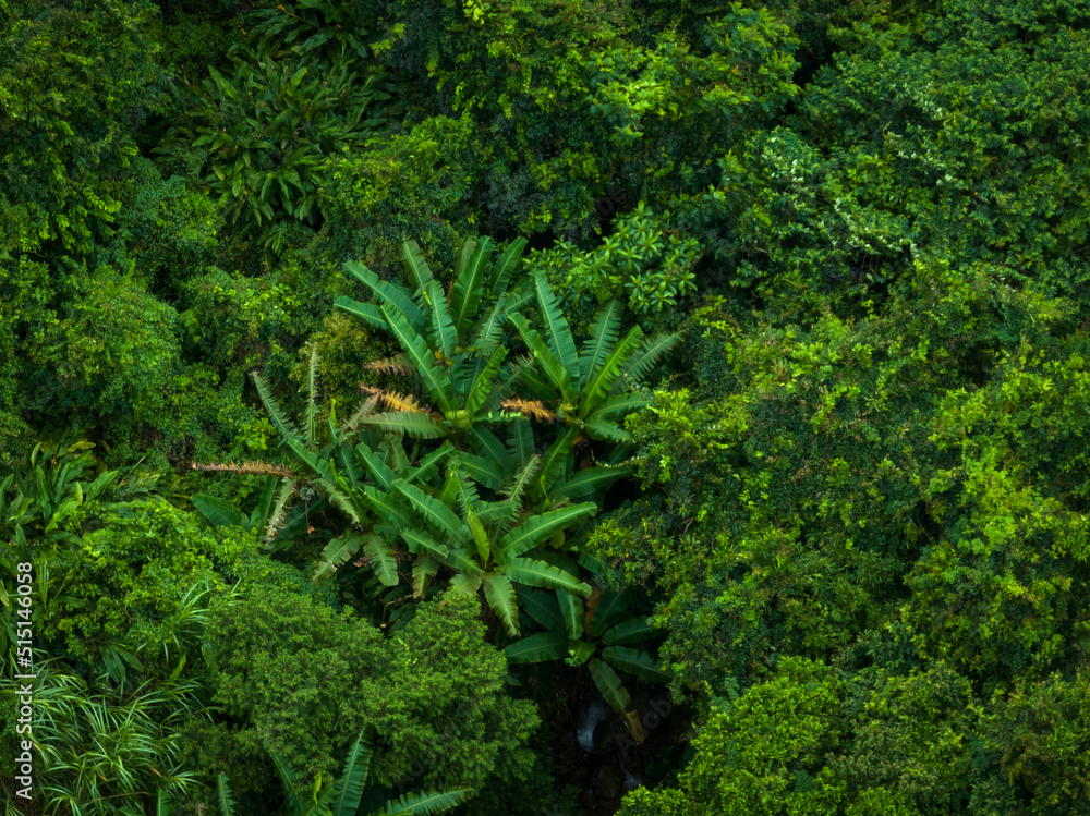 Aerial view of beautiful tropical forest mountain landscape Aerial view of beautiful tropical forest mountain landscape