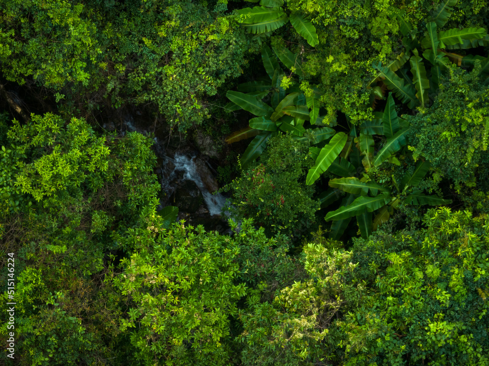 Obraz premium Aerial view of beautiful tropical forest mountain landscape