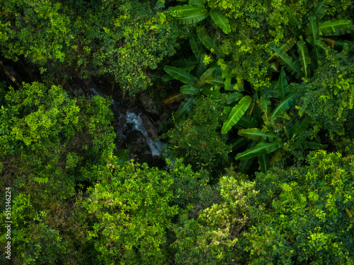 Aerial view of beautiful tropical forest mountain landscape