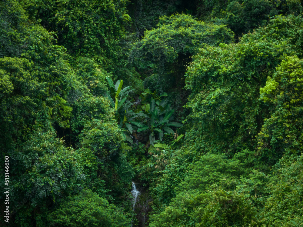 Aerial view of beautiful tropical forest mountain landscape Aerial view of beautiful tropical forest mountain landscape