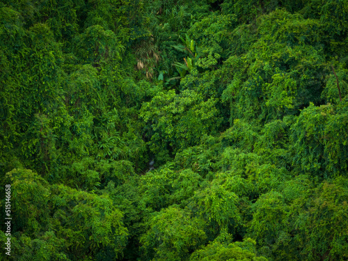 Aerial view of beautiful tropical forest mountain landscape © lzf