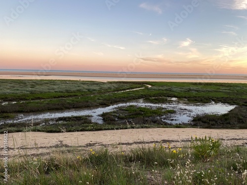 Paysage sauvage de la faute sur mer en Vendée 