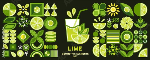 Set of design elements, logo with Lime in simple geometric style. Abstract shapes. Good for branding, decoration of food package, cover design, decorative print, background.