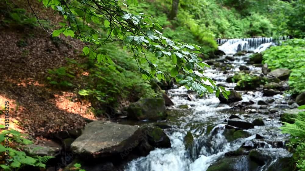 mountain river flows down the mountainside mountain river flows down the mountainside