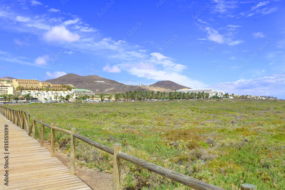 Saladar de Jandía, Fuerteventura, España