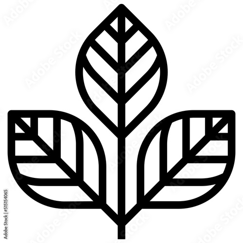 Leaf