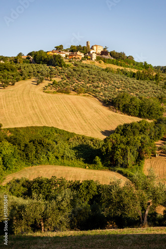 View of Montegridolfo, Italy photo