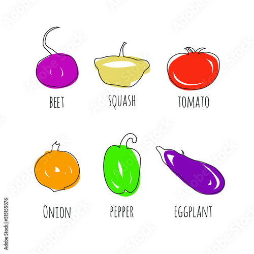 Vector set of drawn vegetables. Onion, beet, eggplant, pepper, squash, tomato