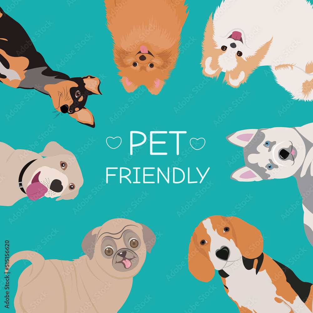 Obraz premium Dog Grooming Salon Poster Illustration . Icon banner illustrations showing animal charity, donation, volunteering, adoption. Pet shop . Veterinary clinic banners set.
