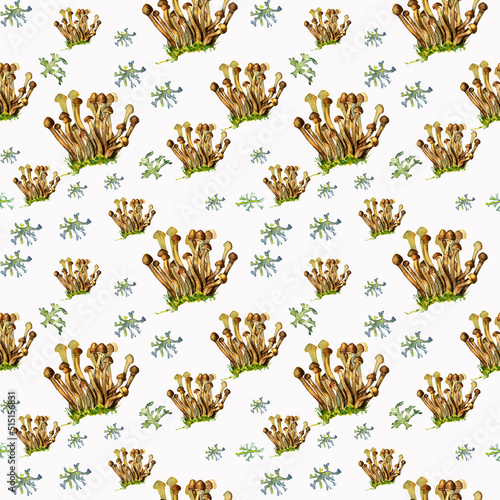 Mushrooms Seamless Wallpaper Seamless Watercolor Background Hand Drawn Forest Plants Mushrooms