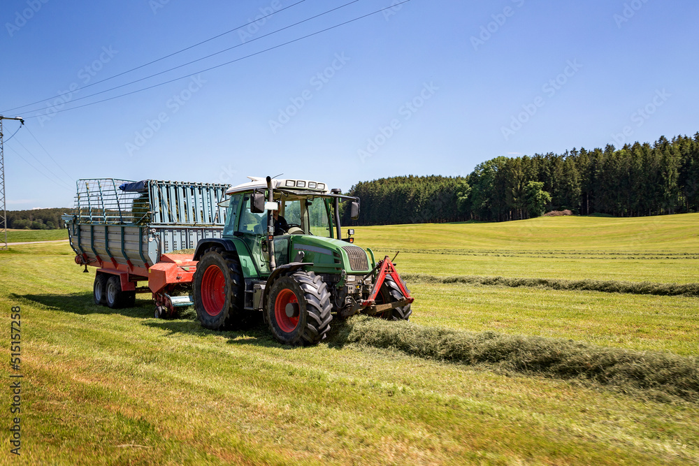 The combine pours silage into the tractor-trailer in the field. Preparing animal feed for the winter. The combine pours silage into the tractor-trailer in the field. Preparing animal feed for the winter.