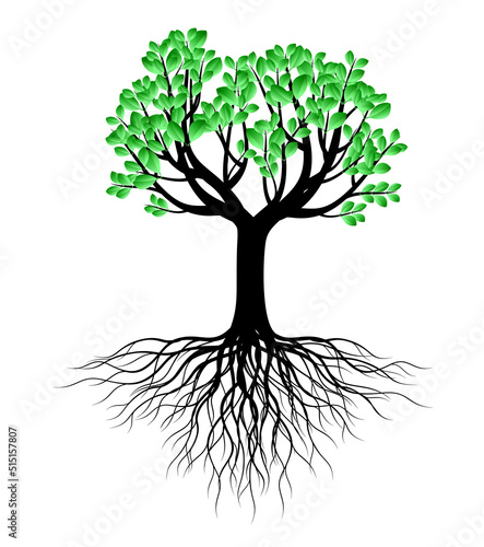 Green Tree with Roots. Vector outline Illustration.