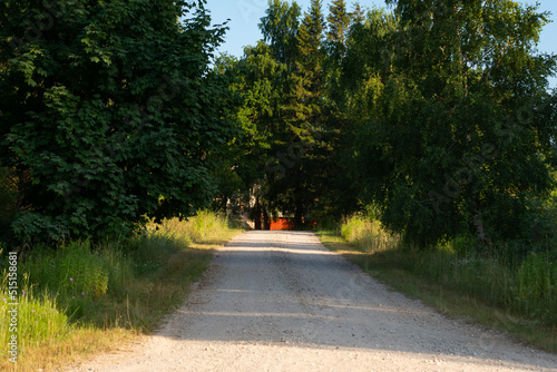 Straight dirt road through forest