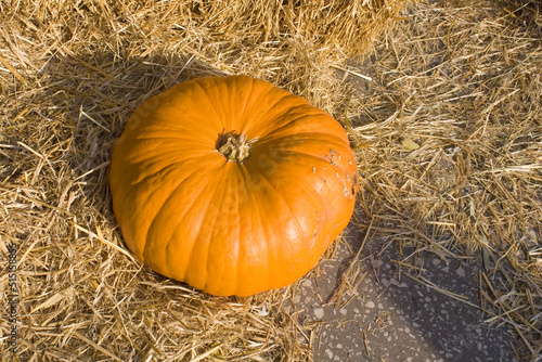 Pumpkin in front of hay