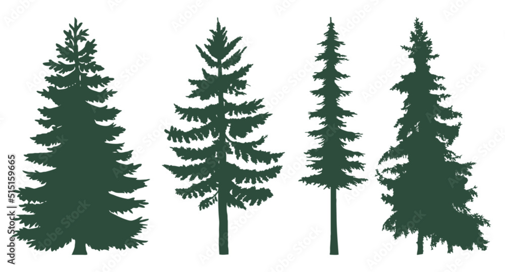 Coniferous trees set. The forest is full of coniferous trees
