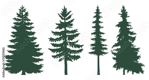 Coniferous trees set. The forest is full of coniferous trees © Pro_Art