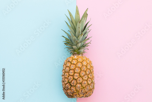One pineapple on a color background