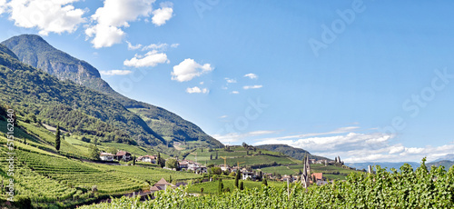 Tramin - Südtirol, Italien photo