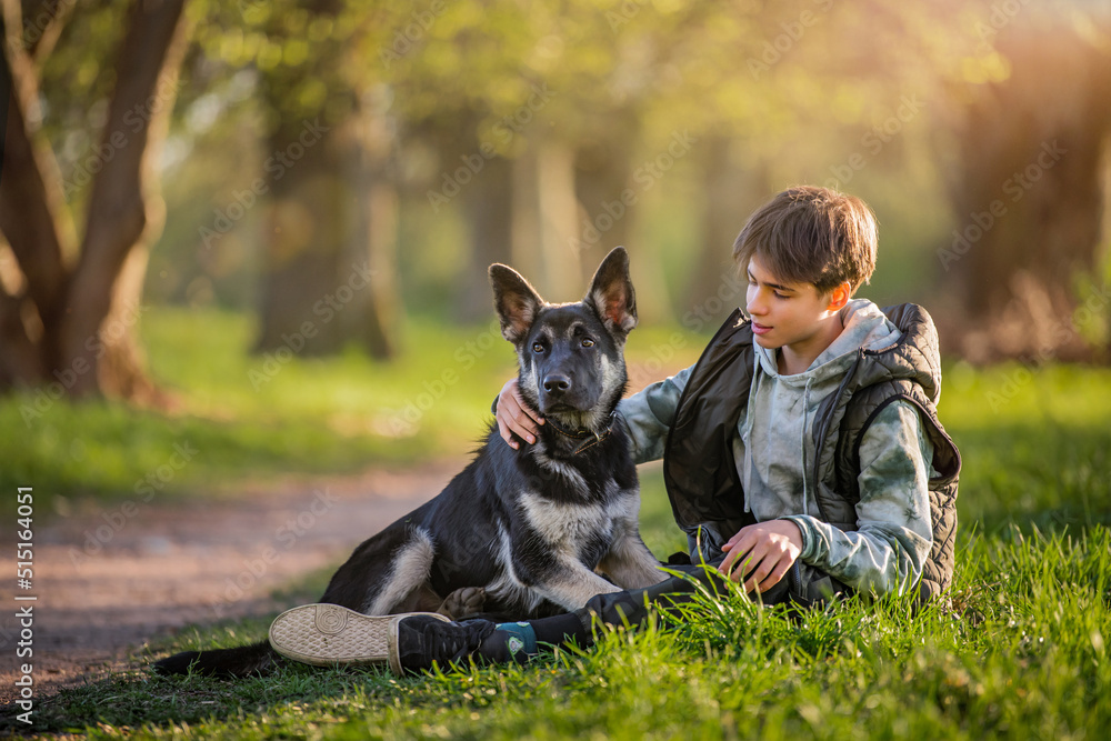 a boy with a dog walk in the park on a sunny spring evening, sit on the grass. Friendship of man and animal, healthy lifestyle. a boy with a dog walk in the park on a sunny spring evening, sit on the grass. Friendship of man and animal, healthy lifestyle.