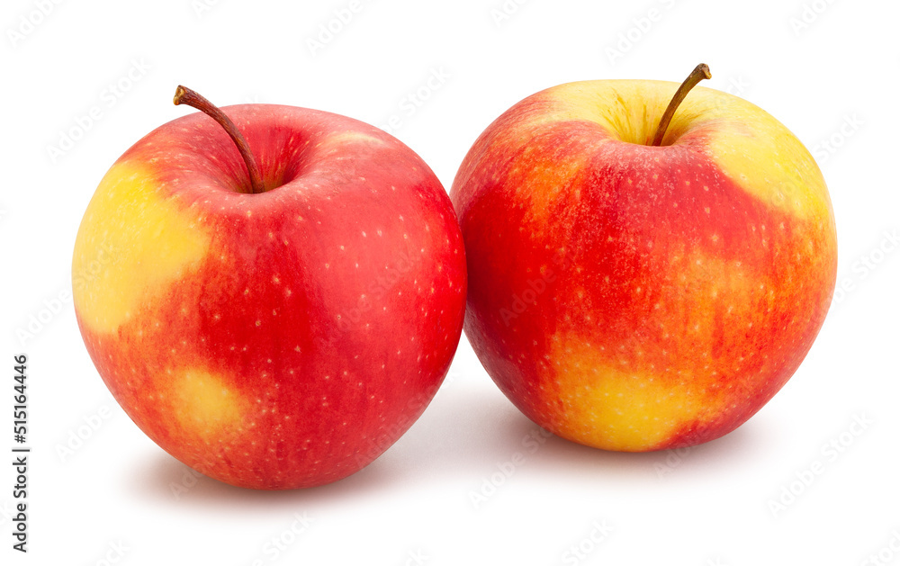 colorful apples path isolated on white colorful apples path isolated on white