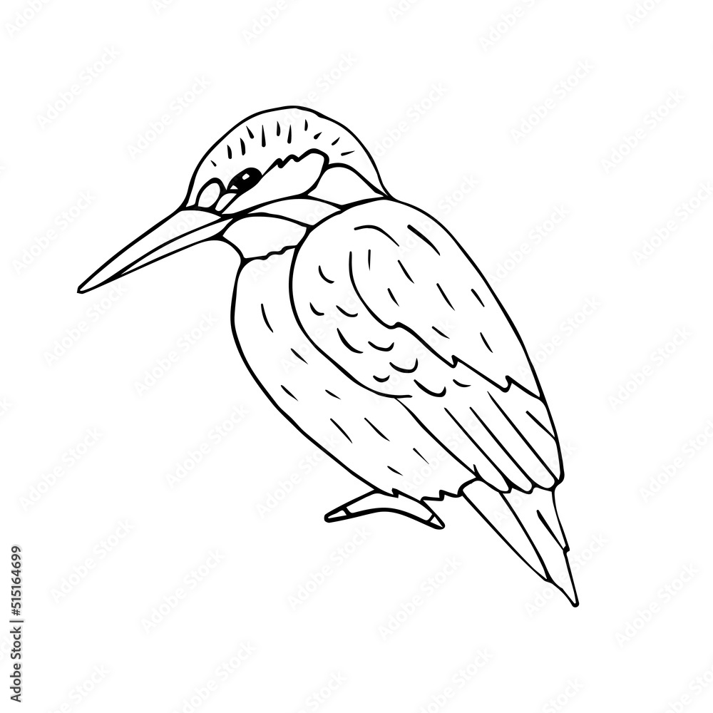Obraz premium Vector hand drawn doodle sketch kingfisher isolated on white background