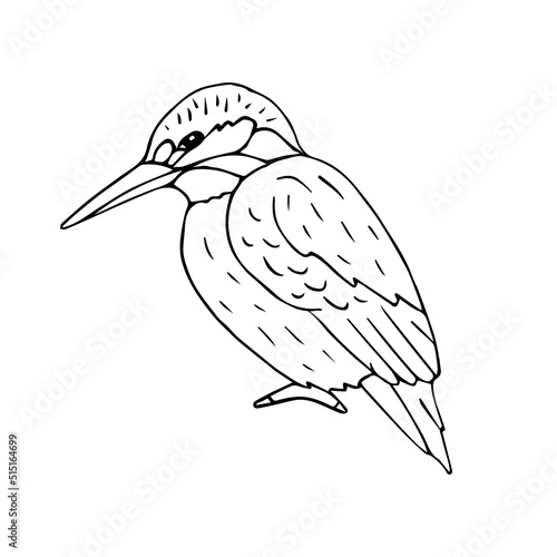 Vector hand drawn doodle sketch kingfisher isolated on white background