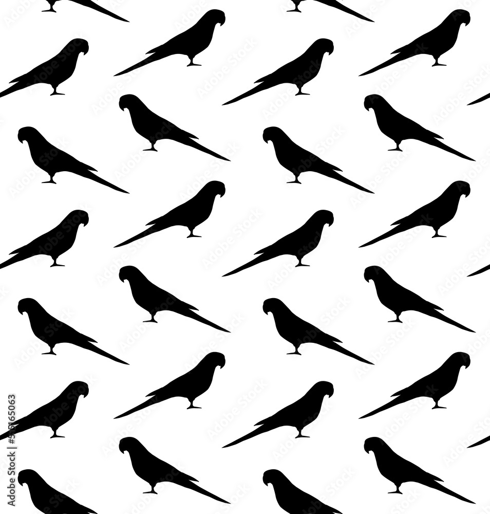 Vector seamless pattern of hand drawn Indian ringneck parrot silhouette isolated on white background Vector seamless pattern of hand drawn Indian ringneck parrot silhouette isolated on white background